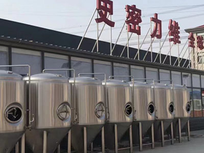 莱阳精酿啤酒设备厂—如何判断精酿啤酒设备的密封件需要更换？